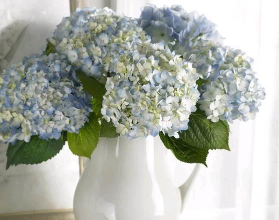 文艺范经典人生感悟图片说说短语 文艺范经典人生感悟图片说说短语