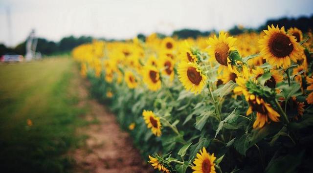 抄点经典语录给你，很适合发朋友圈