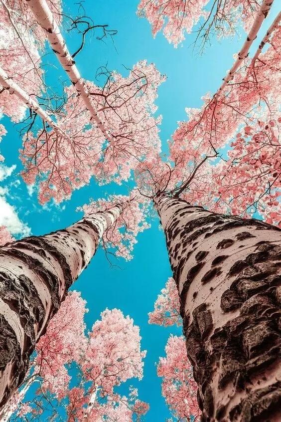 励志语录：既然改变不了现实，那就改变你的心态