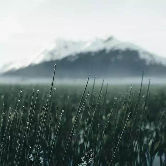 一切自有因缘安排