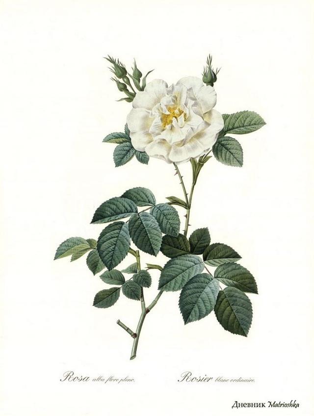 20条非常精辟的一句话经典语录,句句大实话 20条非常精辟的一句话经典语录,句句大实话