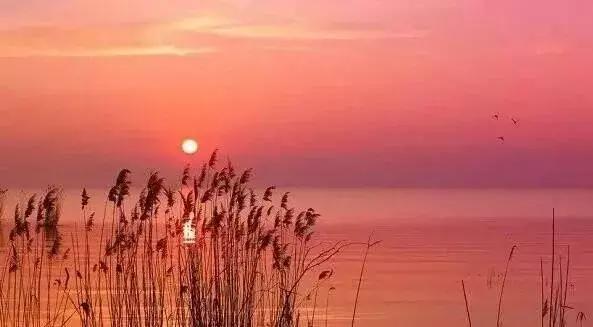 静，是心灵最美的陪伴