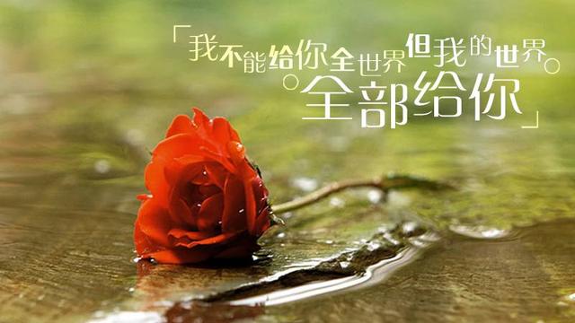 无需找什么借口，一无所有，就是拼的理由
