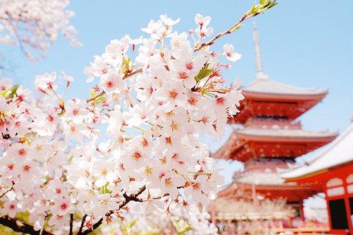 正能量激励人的句子 正能量激励人的句子