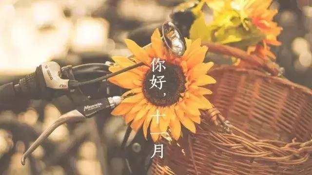 告别十月，十一月你好，莫负时光，加油