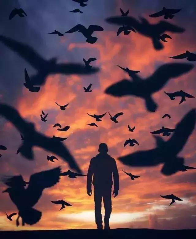 默 契（写的真好）