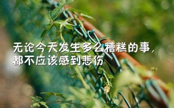 充满正能量的励志语录，句句激励人心