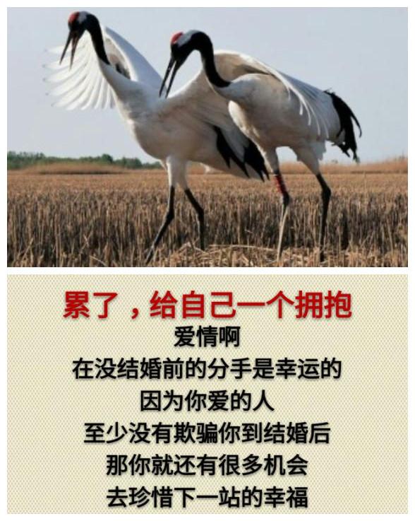 你累吗？（累就看看）