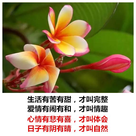 生活有苦有甜，爱情有闹有和，心情有悲有喜，日子有阴有晴
