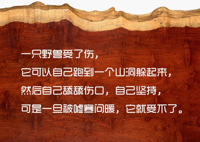 喜欢一个人是藏不住的