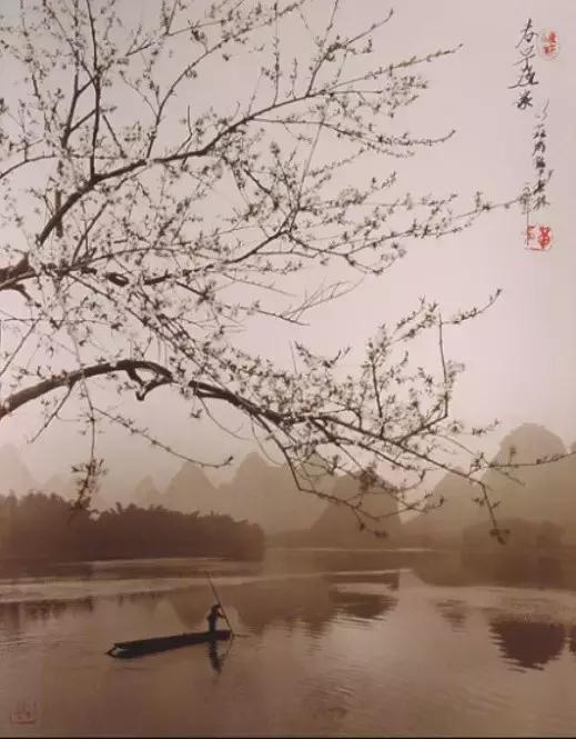 我就是我,不一样的烟火 我就是我,不一样的烟火