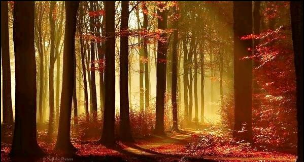 人这辈子必须提前明白的几个道理（句句刺心）