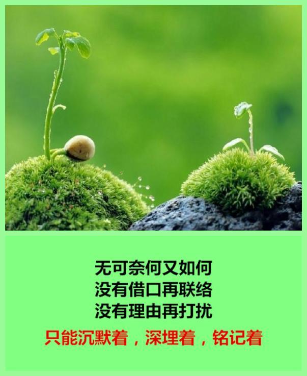 有些人，再也不能联系了
