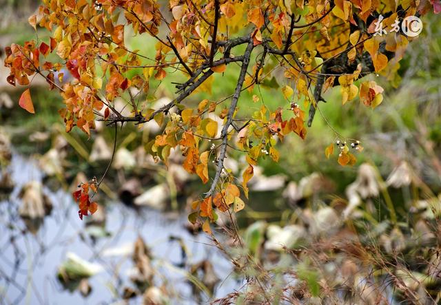 李嘉诚人穷的时候要少在家里
