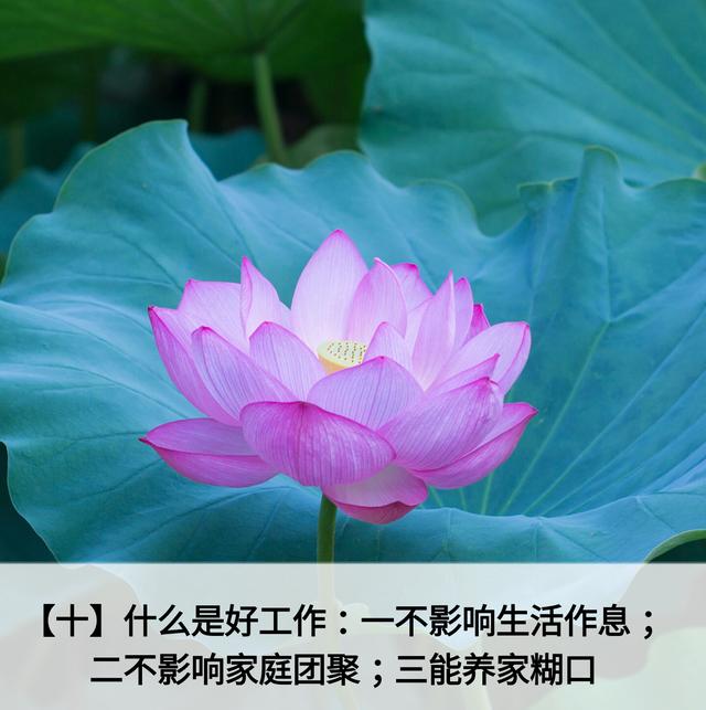 人生应该谨记的金言