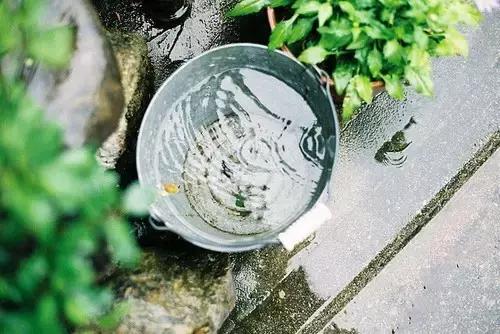 宽容是一把盛开着的伞，在伞下我们享受着温暖的阳光