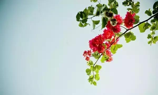 借钱可以，别伤感情