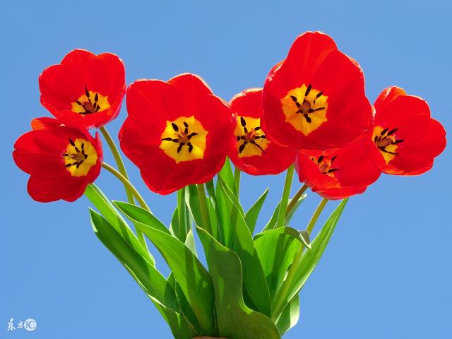 没有心机的人，活得最开心（送给善良的你）