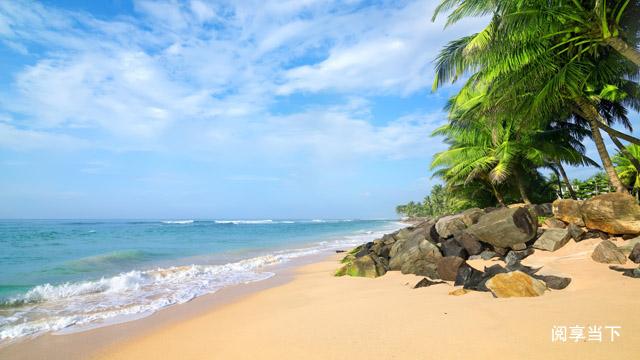 享用一生的精辟语录，总有一句你会喜欢