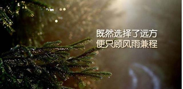 20句励志语录，这才是正能量励志的句子