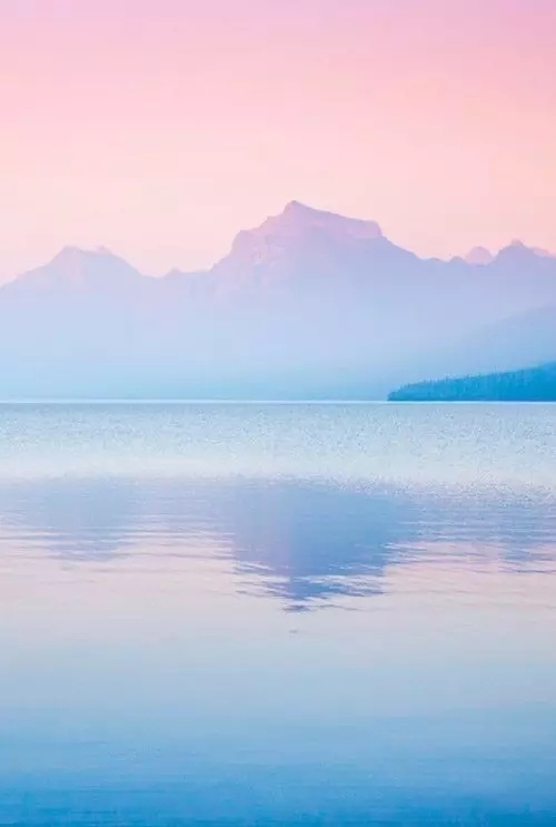 世界让我遍体鳞伤,但伤口长出的却是翅膀 世界让我遍体鳞伤,但伤口长出的却是翅膀