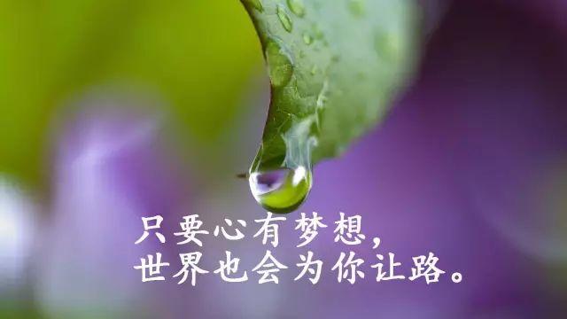 激励人积极向上的正能量经典语录，人生这一路，可以哭但不能怂