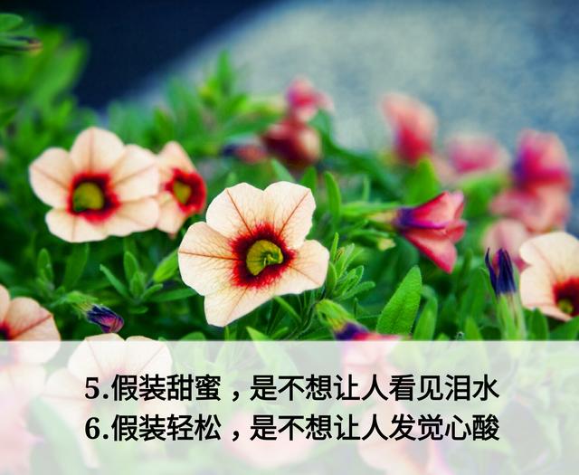 放下面子做人，但不可弯腰