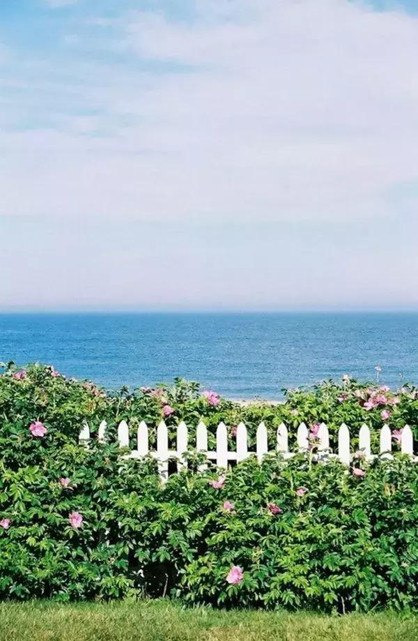 别用无谓的烦恼作践自己，伤害岁月