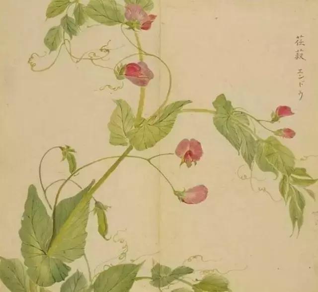 会说，是一种能力；会听，是一种修养