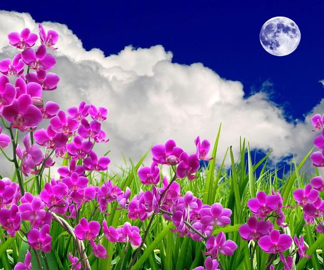 每天必读的人生经典句子