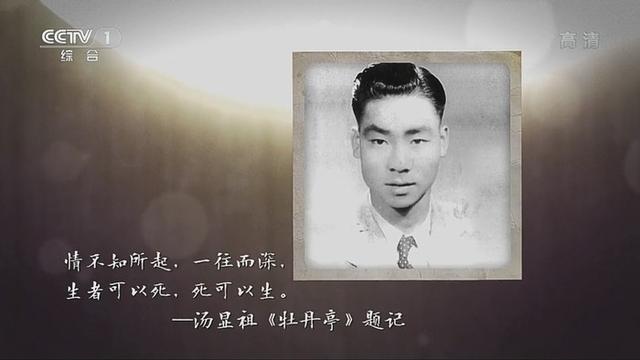 《朗读者》中唯美的句子