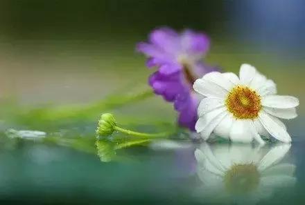 面对这4种情况，请务必收起你的善良