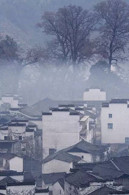 美好清晨，拥抱现在