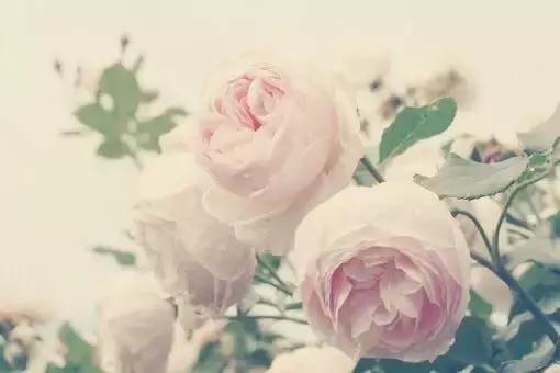 这段话真漂亮,说到了心上 这段话真漂亮,说到了心上