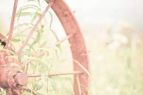 看完这些经典语录，就不用让妈妈煲鸡汤了