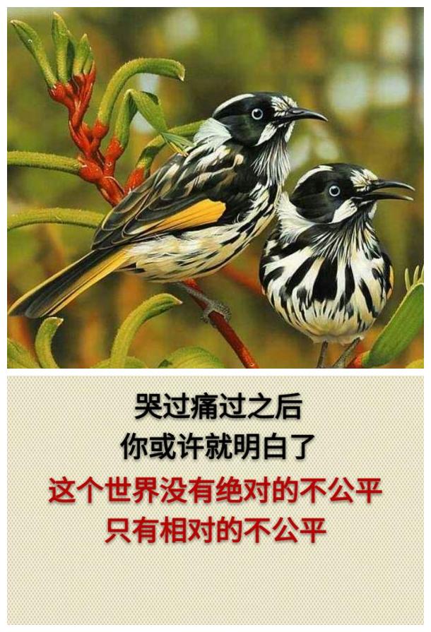 你累吗？（累就看看）