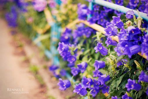 一些充满正能量的经典语录