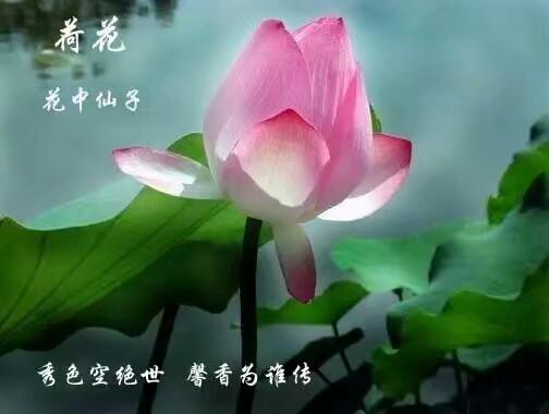 做人要有底线，没有底线就是对善良的践踏
