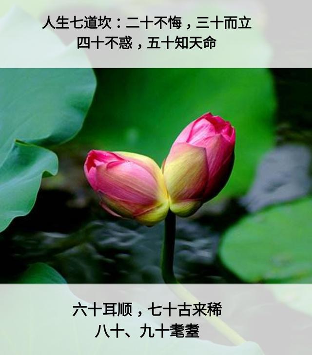 人生：7层次，7道坎，7恩人，7觉悟，7境界