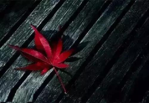 人品比能力更重要