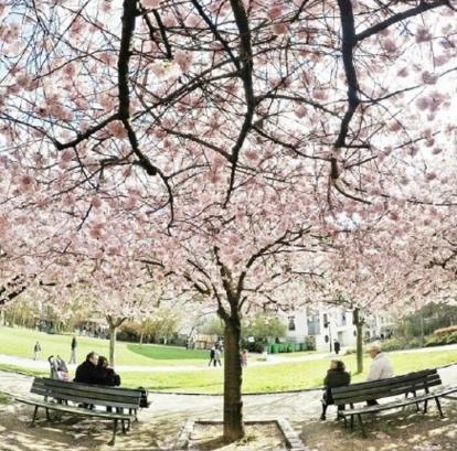 静心做事，常心为人