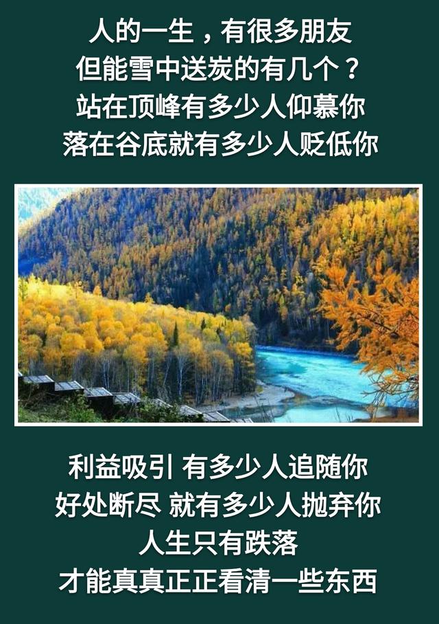 人活着：不累，是木头；不痛，是砖头；不苦，是石头