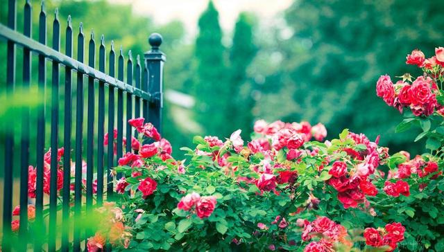 这个社会，人生在世，争的什么？