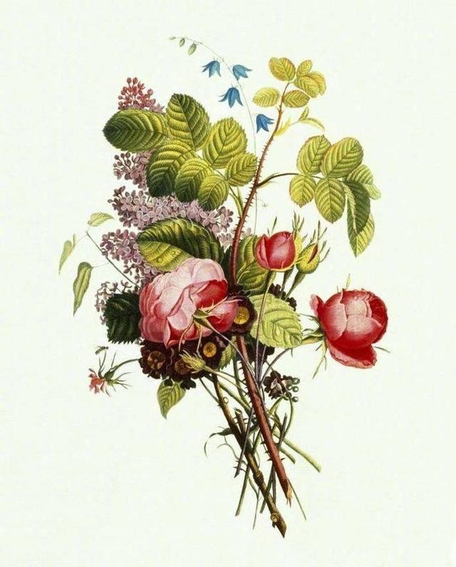 梁文道16句:无时无刻不在要求自己进步,自然就有了教养 梁文道16句:无时无刻不在要求自己进步,自然就有了教养