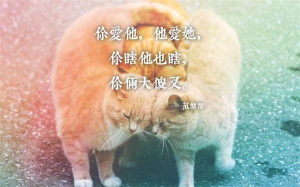 人生活在得失间，得亦是失，失亦是得
