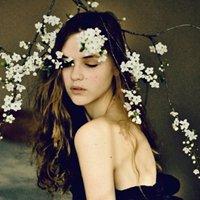 看后想哭的名人经典语录