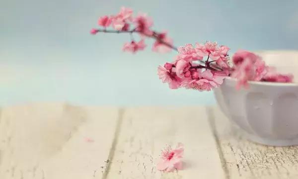 学会放下，你就是赢家