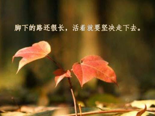 只要努力抬起你的双脚，胜利将属于你