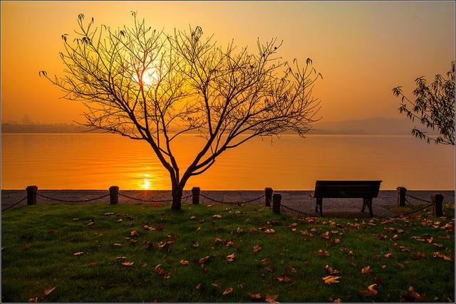 时光染红枫叶，独凭栏醉桥景