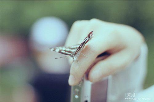 一句话午夜走心经典语录，绝对值得一看